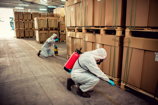 Best Wasp Removal Services  in Lewiston, ME