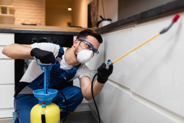 Flea Control Services in Lewiston, ME