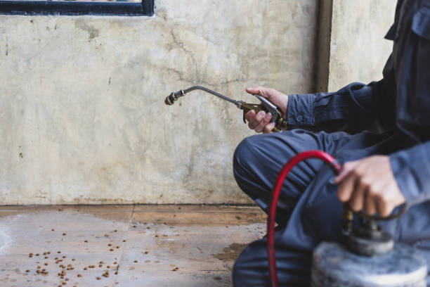 Best Termite Control Services  in Lewiston, ME